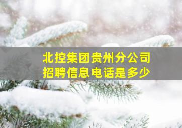 北控集团贵州分公司招聘信息电话是多少