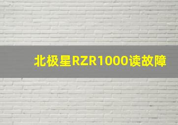 北极星RZR1000读故障