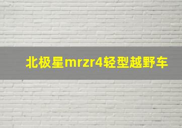 北极星mrzr4轻型越野车