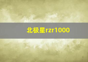 北极星rzr1000