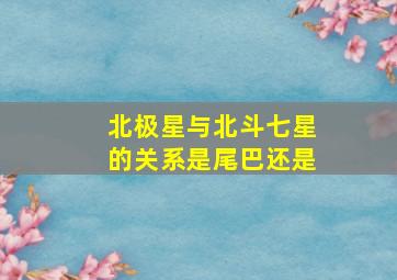 北极星与北斗七星的关系是尾巴还是