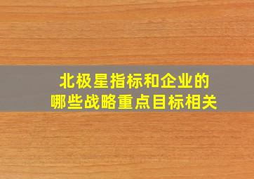 北极星指标和企业的哪些战略重点目标相关