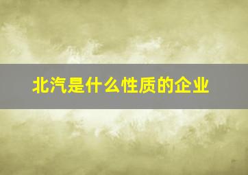 北汽是什么性质的企业