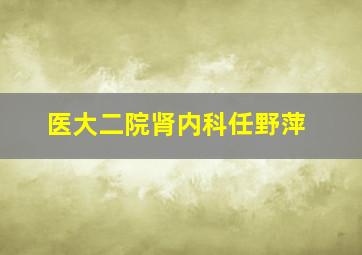 医大二院肾内科任野萍