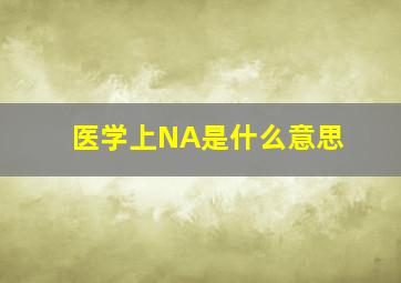 医学上NA是什么意思