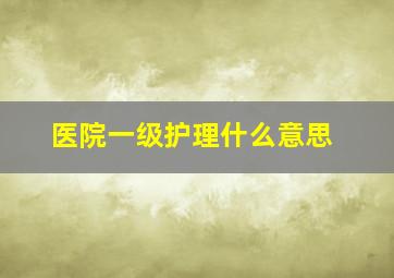 医院一级护理什么意思