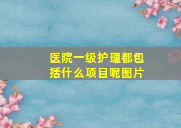 医院一级护理都包括什么项目呢图片