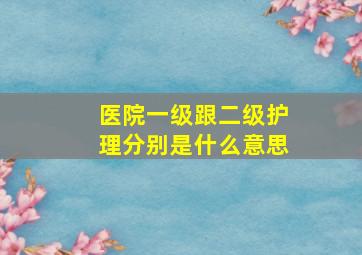 医院一级跟二级护理分别是什么意思