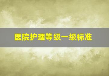 医院护理等级一级标准