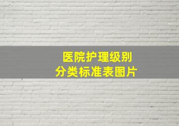 医院护理级别分类标准表图片