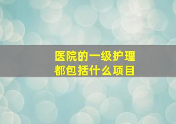 医院的一级护理都包括什么项目