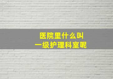 医院里什么叫一级护理科室呢