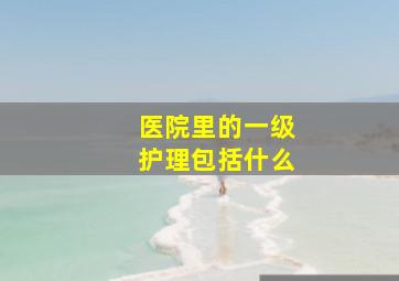 医院里的一级护理包括什么