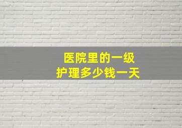 医院里的一级护理多少钱一天