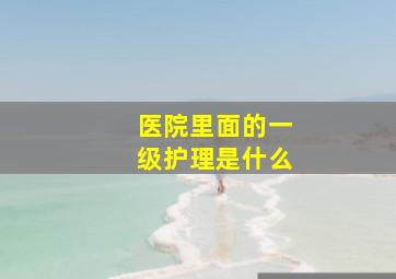 医院里面的一级护理是什么