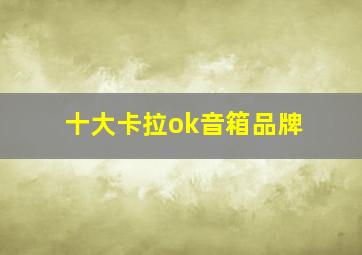 十大卡拉ok音箱品牌