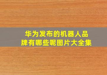 华为发布的机器人品牌有哪些呢图片大全集