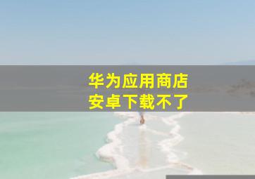 华为应用商店安卓下载不了