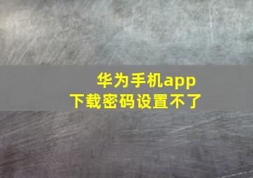 华为手机app下载密码设置不了