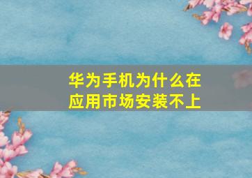 华为手机为什么在应用市场安装不上