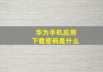 华为手机应用下载密码是什么