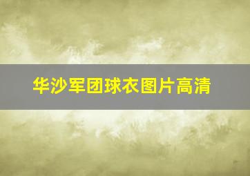 华沙军团球衣图片高清