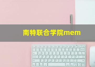 南特联合学院mem