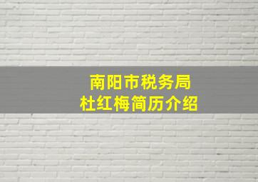 南阳市税务局杜红梅简历介绍