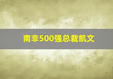 南非500强总裁凯文