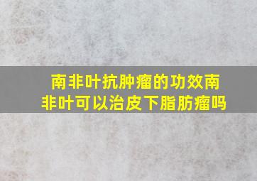 南非叶抗肿瘤的功效南非叶可以治皮下脂肪瘤吗