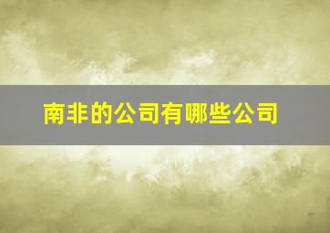 南非的公司有哪些公司