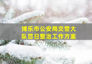 博乐市公安局交警大队百日整治工作方案