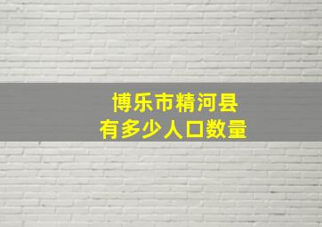 博乐市精河县有多少人口数量