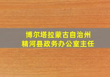 博尔塔拉蒙古自治州精河县政务办公室主任