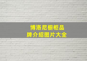 博洛尼橱柜品牌介绍图片大全