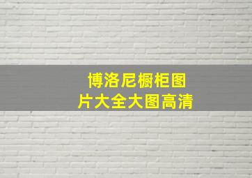 博洛尼橱柜图片大全大图高清