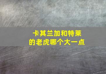 卡其兰加和特莱的老虎哪个大一点