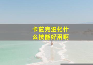 卡兹克进化什么技能好用啊