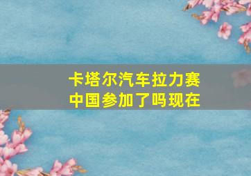 卡塔尔汽车拉力赛中国参加了吗现在