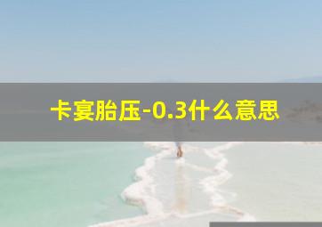 卡宴胎压-0.3什么意思