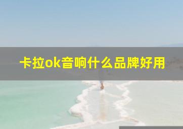 卡拉ok音响什么品牌好用