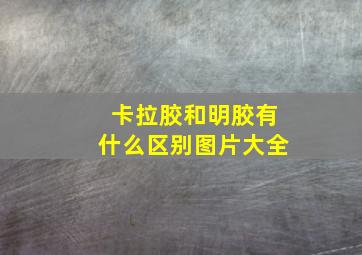 卡拉胶和明胶有什么区别图片大全