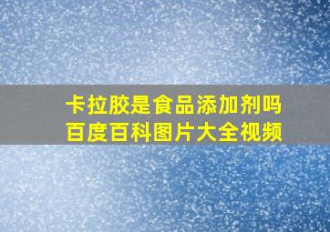 卡拉胶是食品添加剂吗百度百科图片大全视频