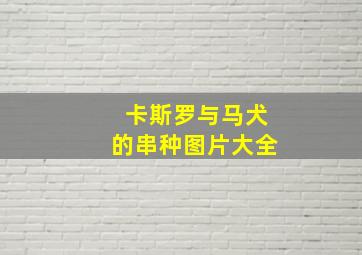 卡斯罗与马犬的串种图片大全