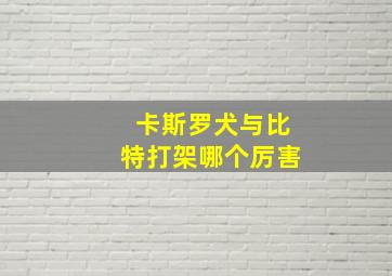 卡斯罗犬与比特打架哪个厉害