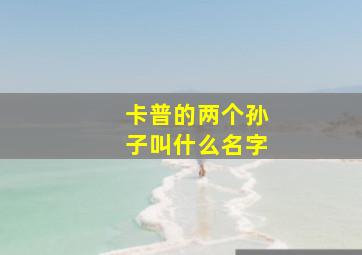 卡普的两个孙子叫什么名字