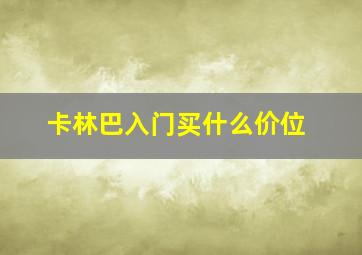 卡林巴入门买什么价位