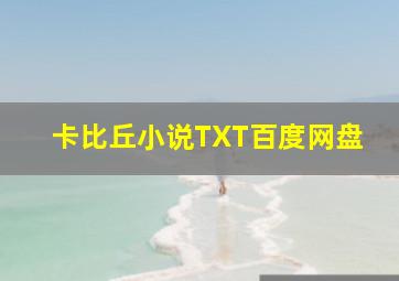 卡比丘小说TXT百度网盘