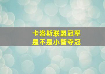 卡洛斯联盟冠军是不是小智夺冠