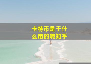 卡特币是干什么用的呢知乎